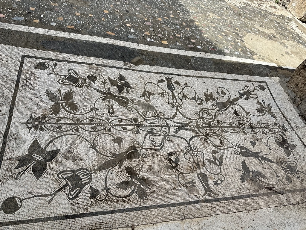 Floors worth laying   a Roman mosaic