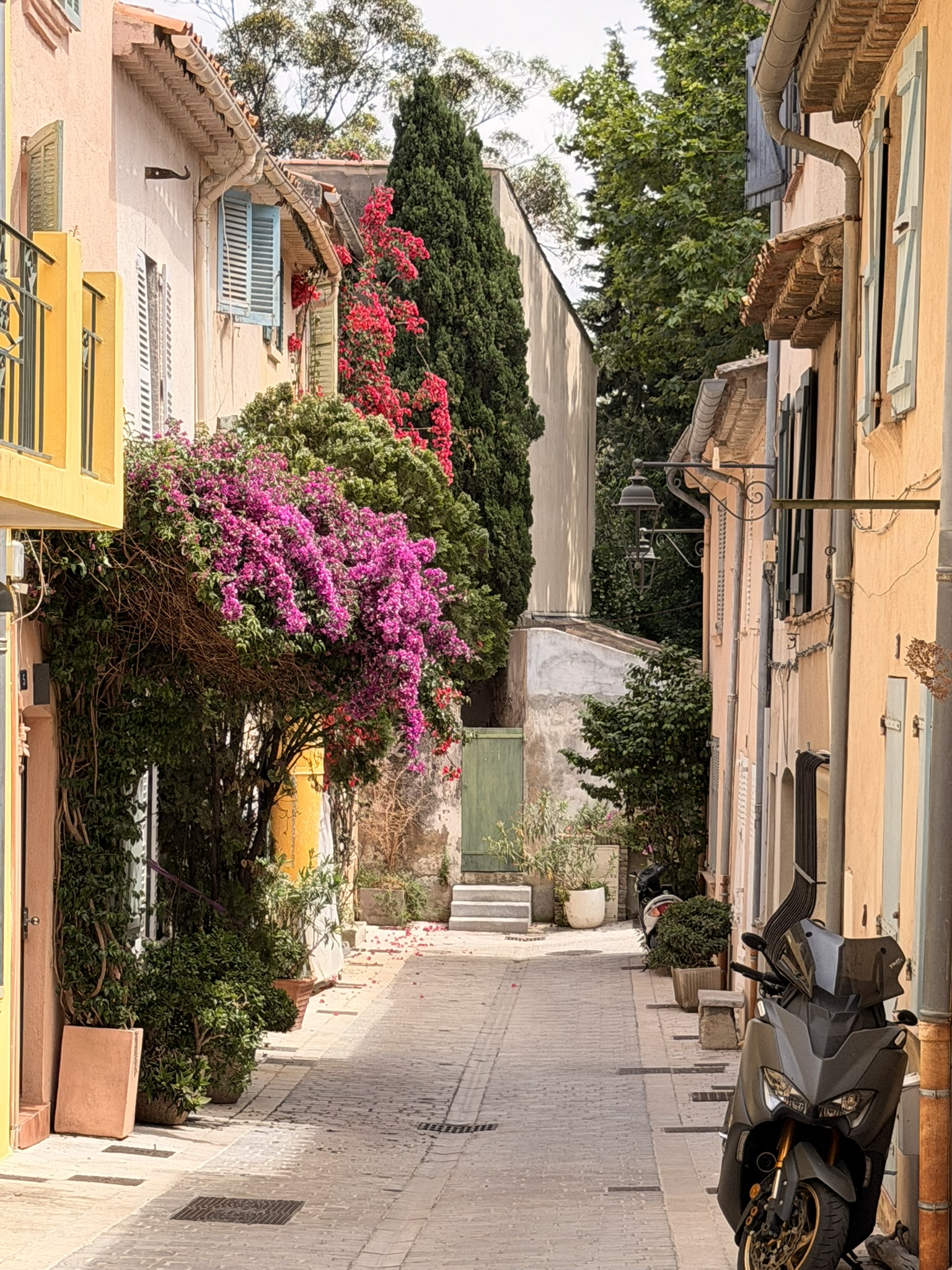 A lane on the Riviera   walkable, alive, in bloom